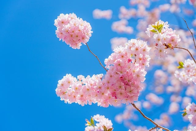 Mindfulness w sporcie – jak być obecnym w każdej chwili treningu