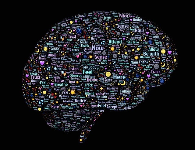 Neuroplastyczność: jak nasze mózgi adaptują się do zmian?
